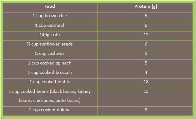 Example of Plant Protein sources